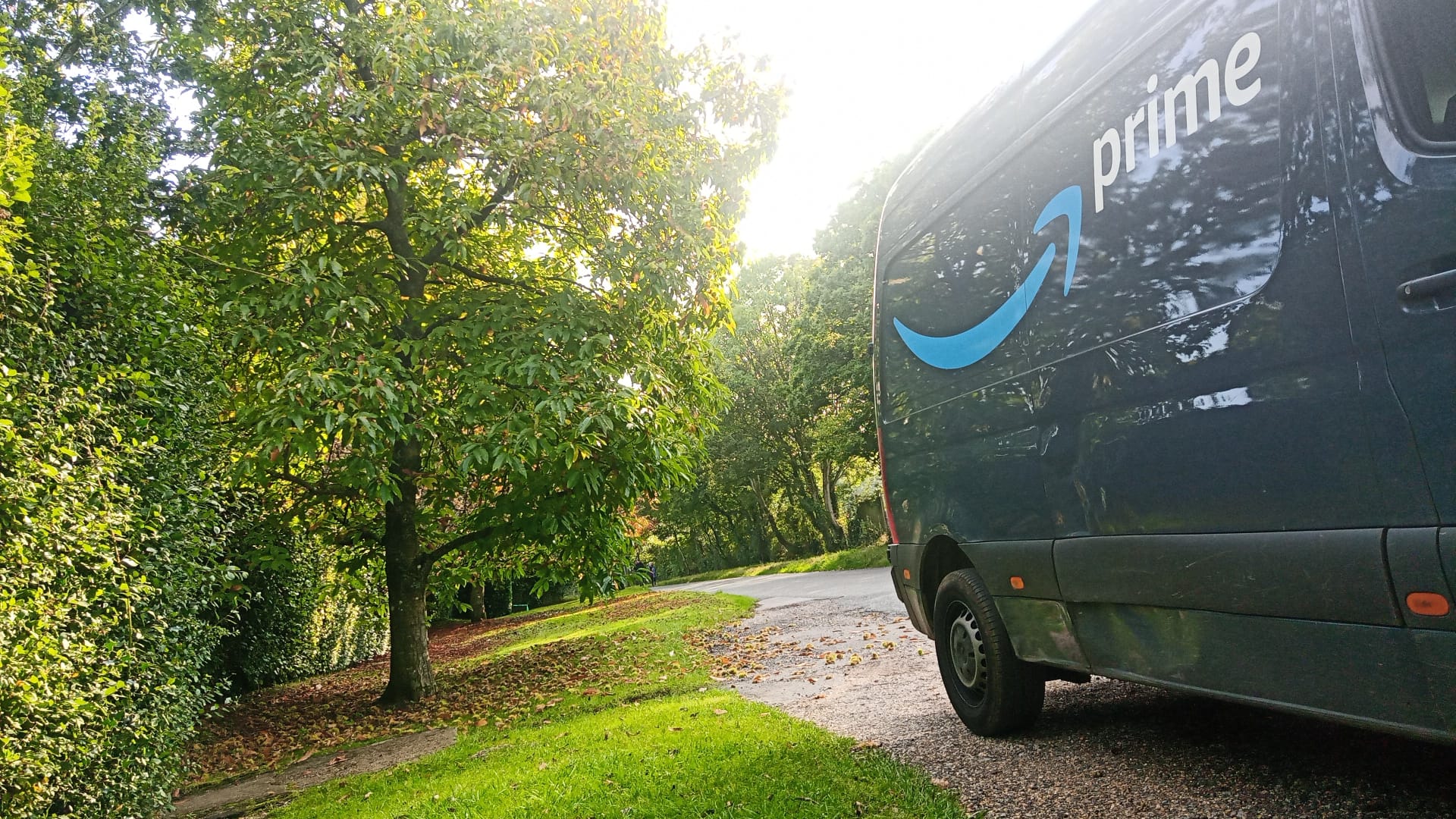 Delivery van parked near trees