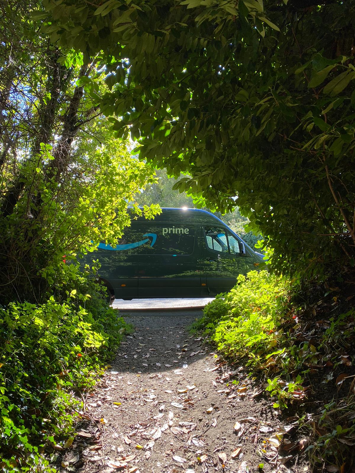 Delivery van seen through a leafy path